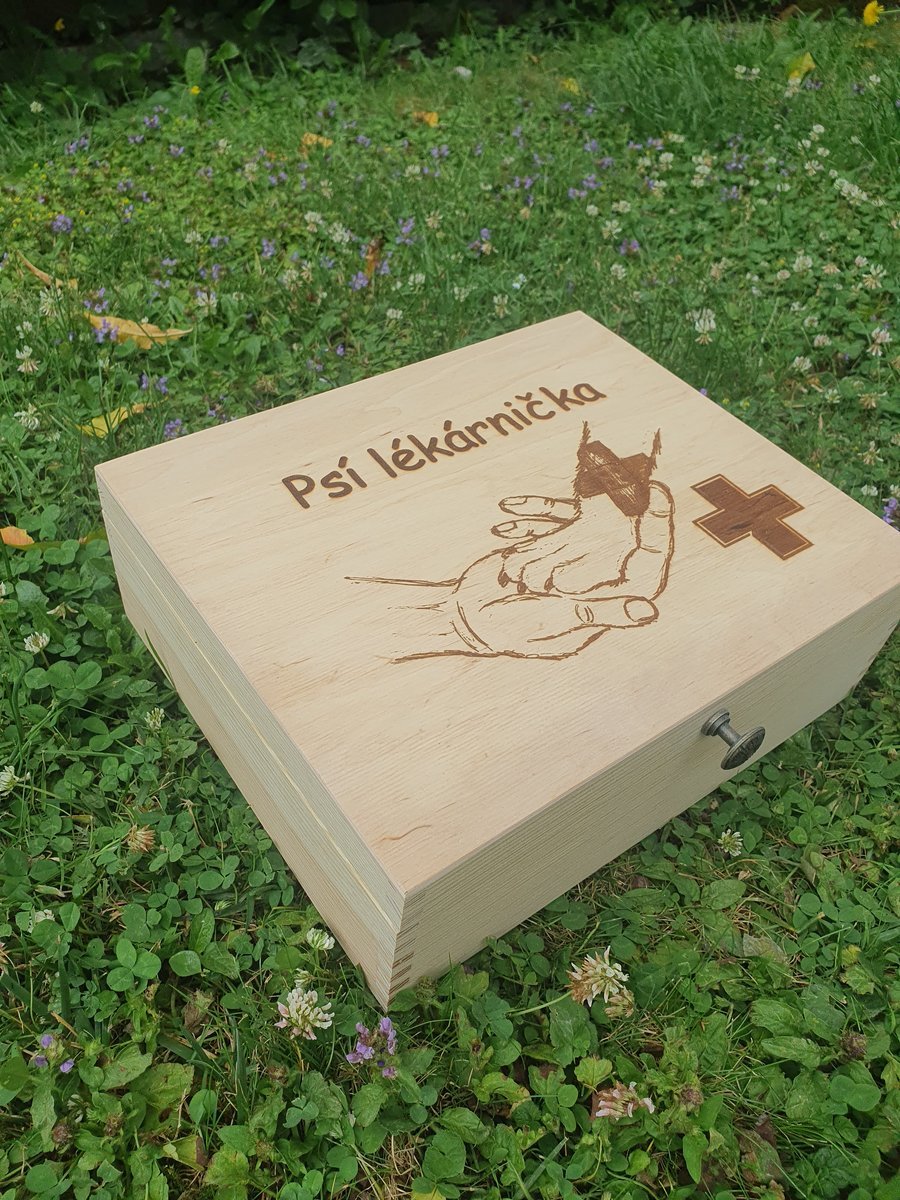Ručně vyrobená dřevěná Truhla - Psí lékárnička