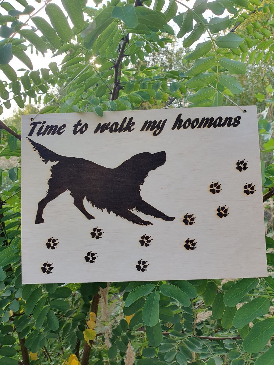 Ručně vyrobená dřevěná Deska - Time to walk - retrívr